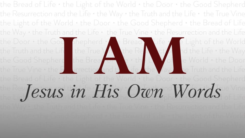 I AM: Jesus in His Own Words Image