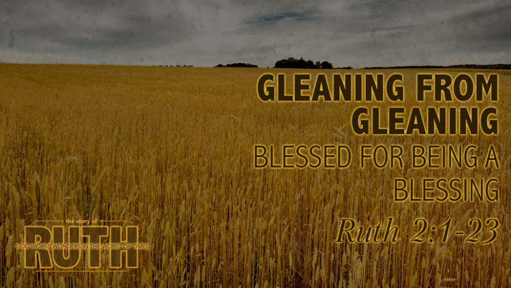 Gleaning From Gleaning Image