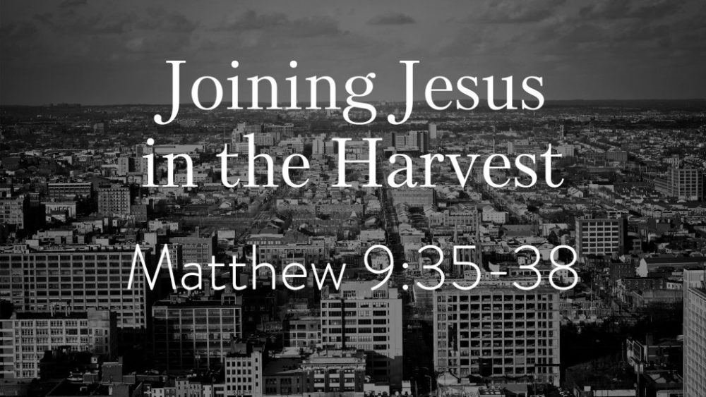 Joining Jesus in the Harvest – Part 1