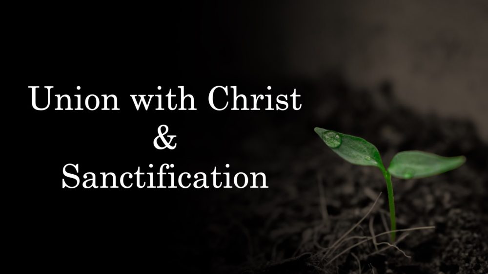 Union with Christ and Sanctification Image