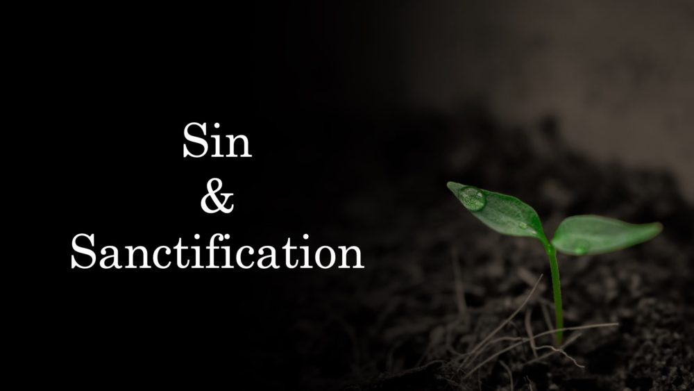 Sin & Sanctification