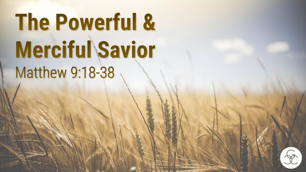 The Powerful & Merciful Savior
