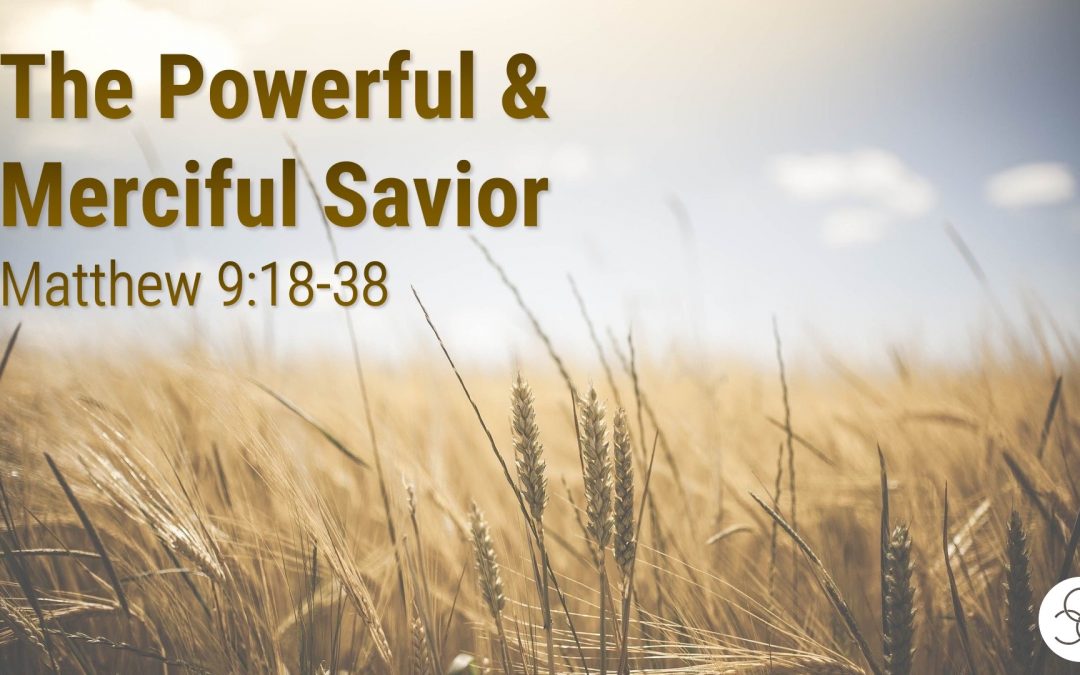 Message: “The Powerful & Merciful Savior” from Stephen Bowne