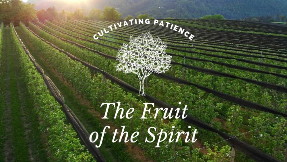 Cultivating Patience Image