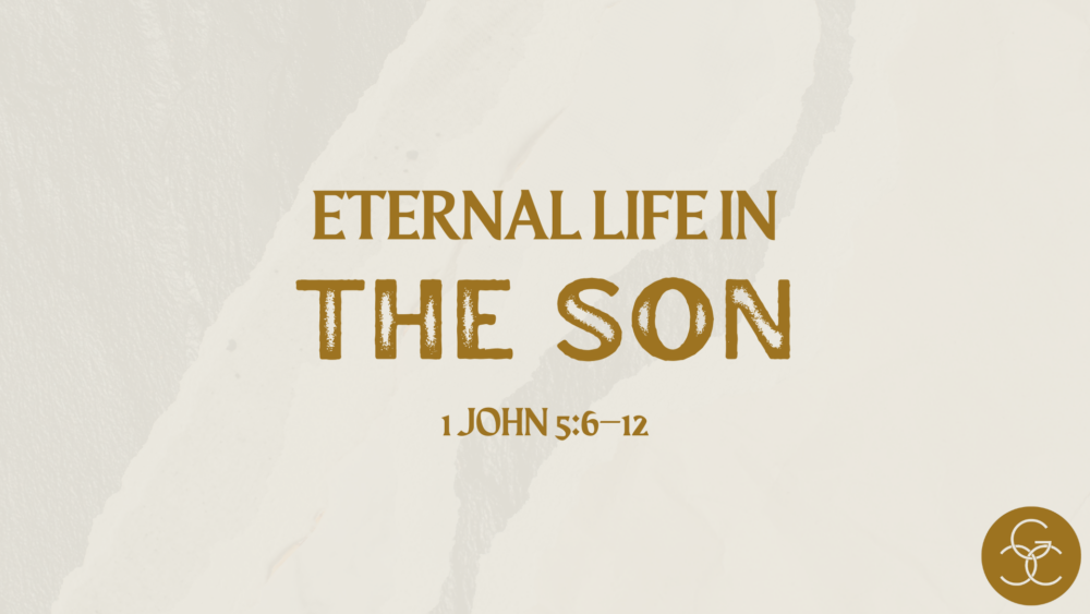 Eternal Life in the Son