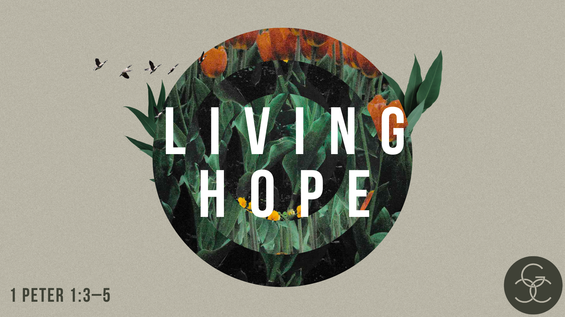 Living Hope Image