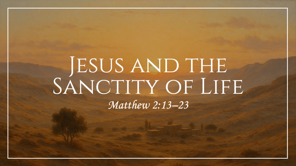 Jesus and the Sanctity of Life Image